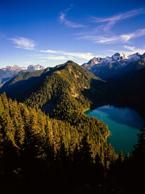 A deeply saturated pine ridge above a glacial lake